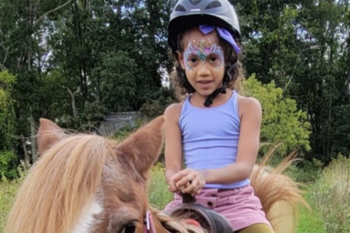 a person riding on the back of a brown horse