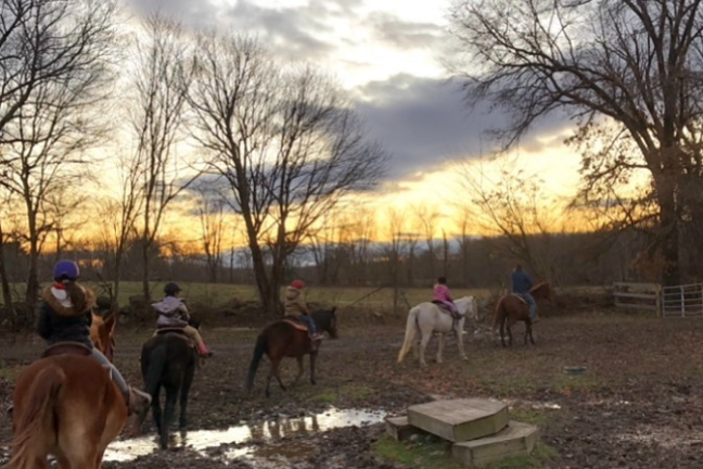 a group of people riding on the back of a horse