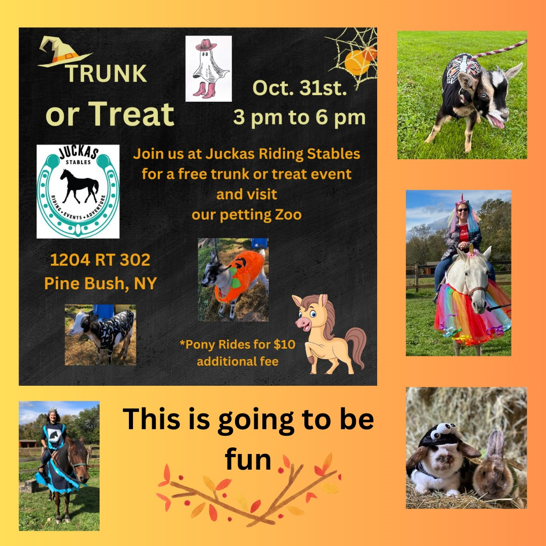 2023 Trunk Or Treat | Juckas Riding Stables